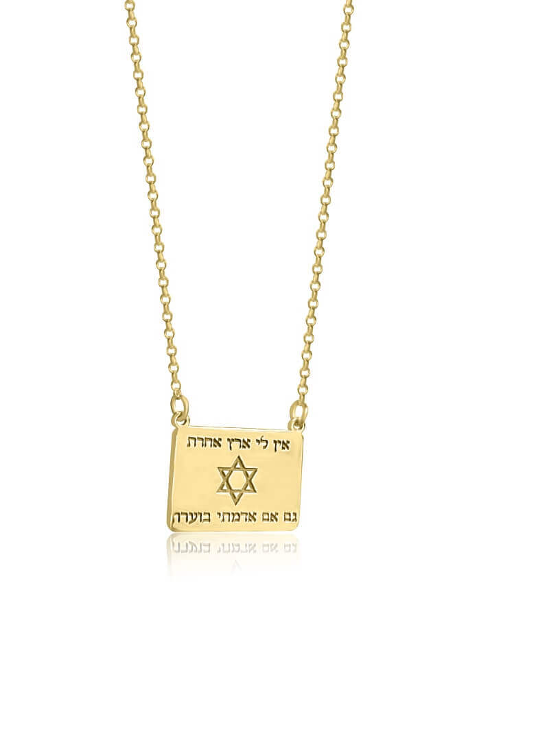 שרשרת אין לי ארץ אחרת